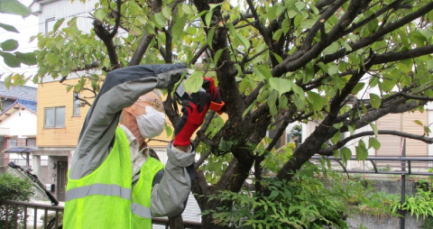地域支えあい事業