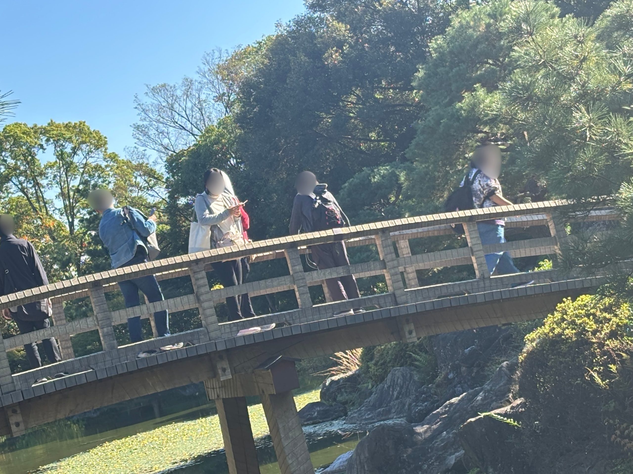 ウォーキング（白鳥公園）の様子の写真